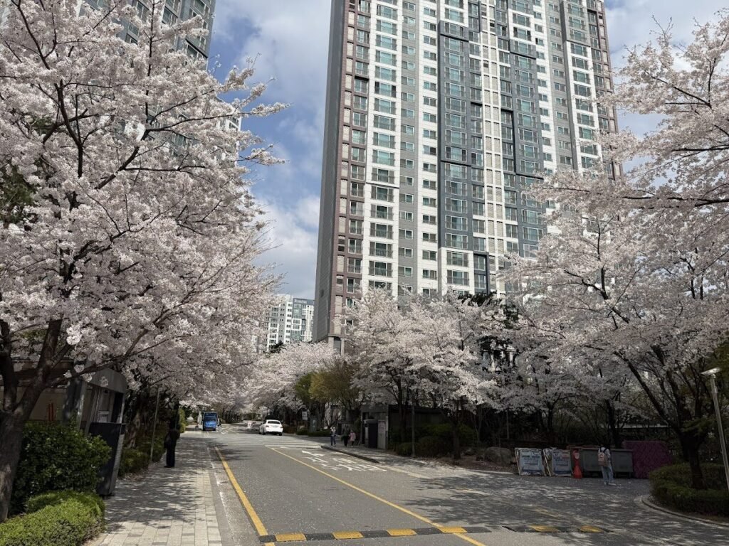 Why Korean Parents Send Their Kids to Hagwon — And What It Actually Costs