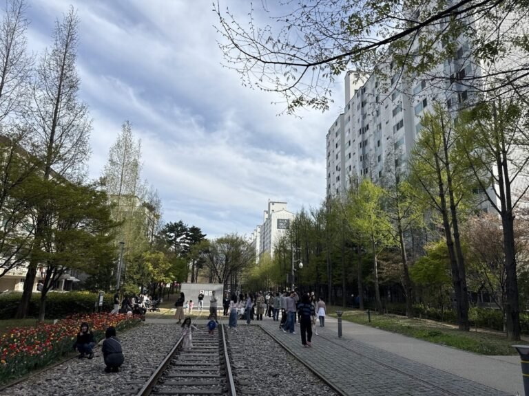 Gyeongui Line Forest Park: A Local's Guide to Seoul's Favorite Walking Trail